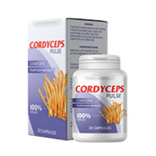 Cordyceps Pulse - remedio para adelgazar